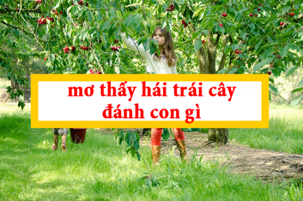 Mơ thấy trái cây đánh con gì?